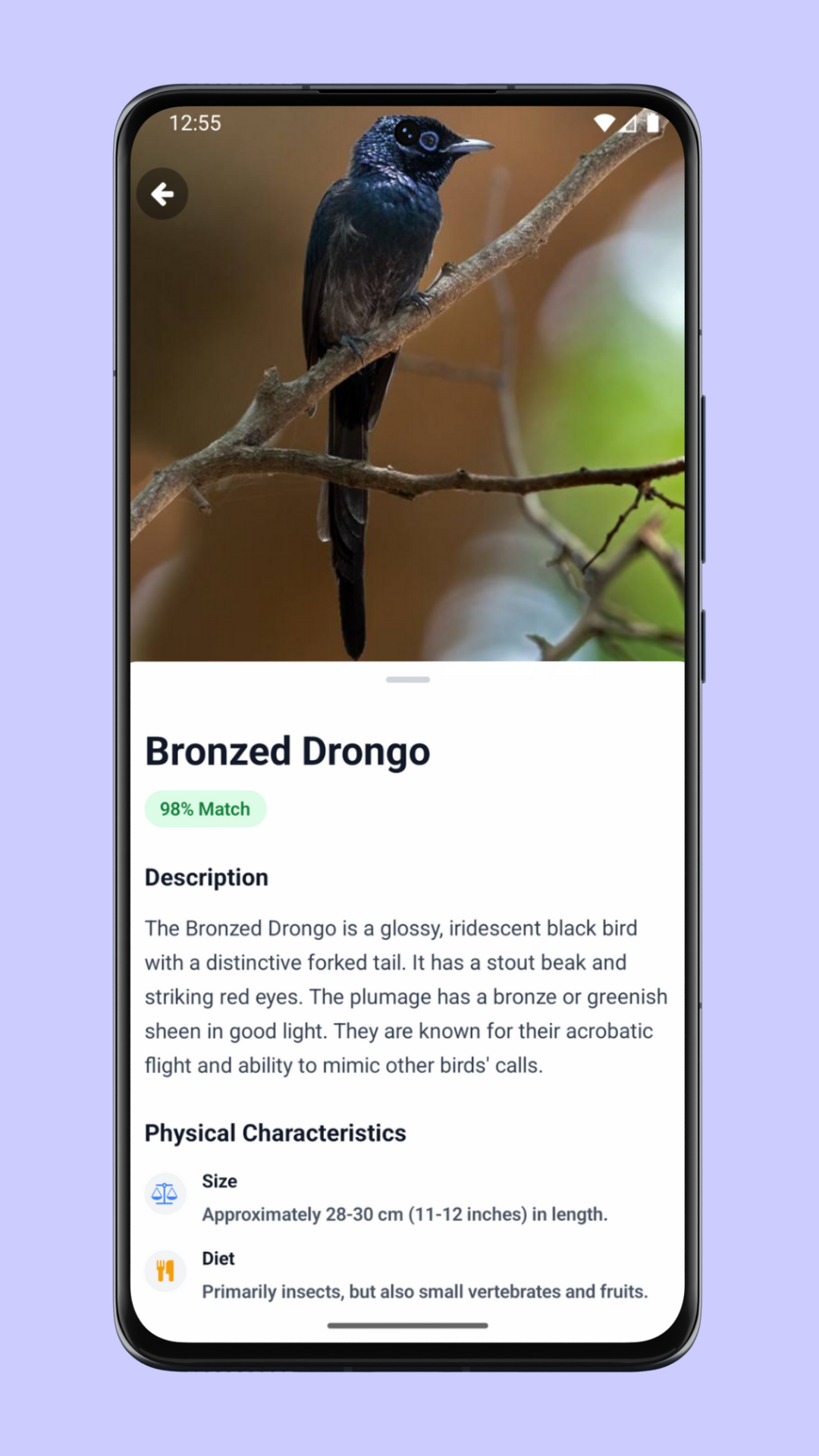 MyBirdy screenshot 3