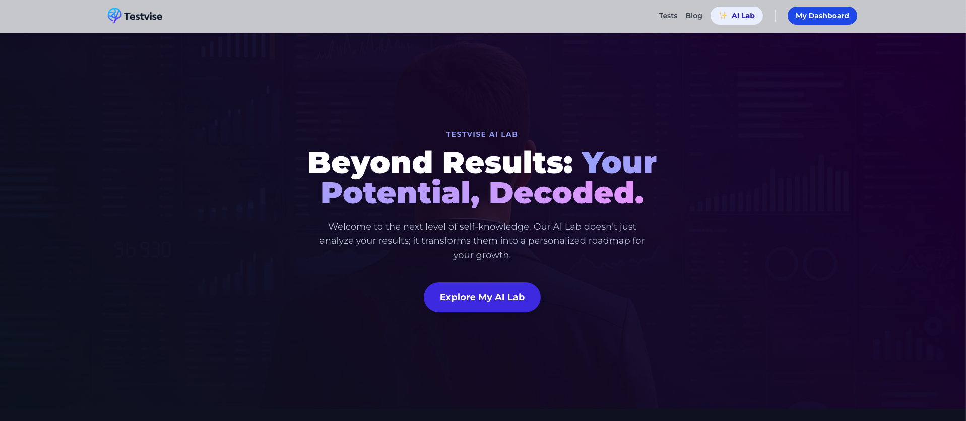 Testvise screenshot 2