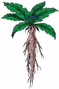 Mandrake Signals screenshot 1