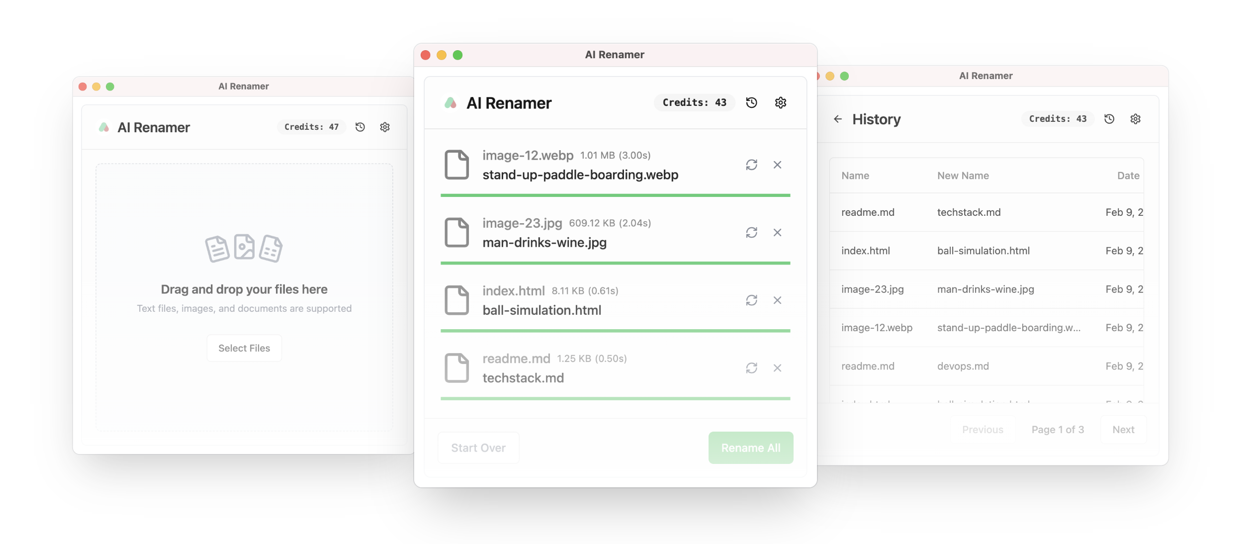 AI Renamer screenshot 2
