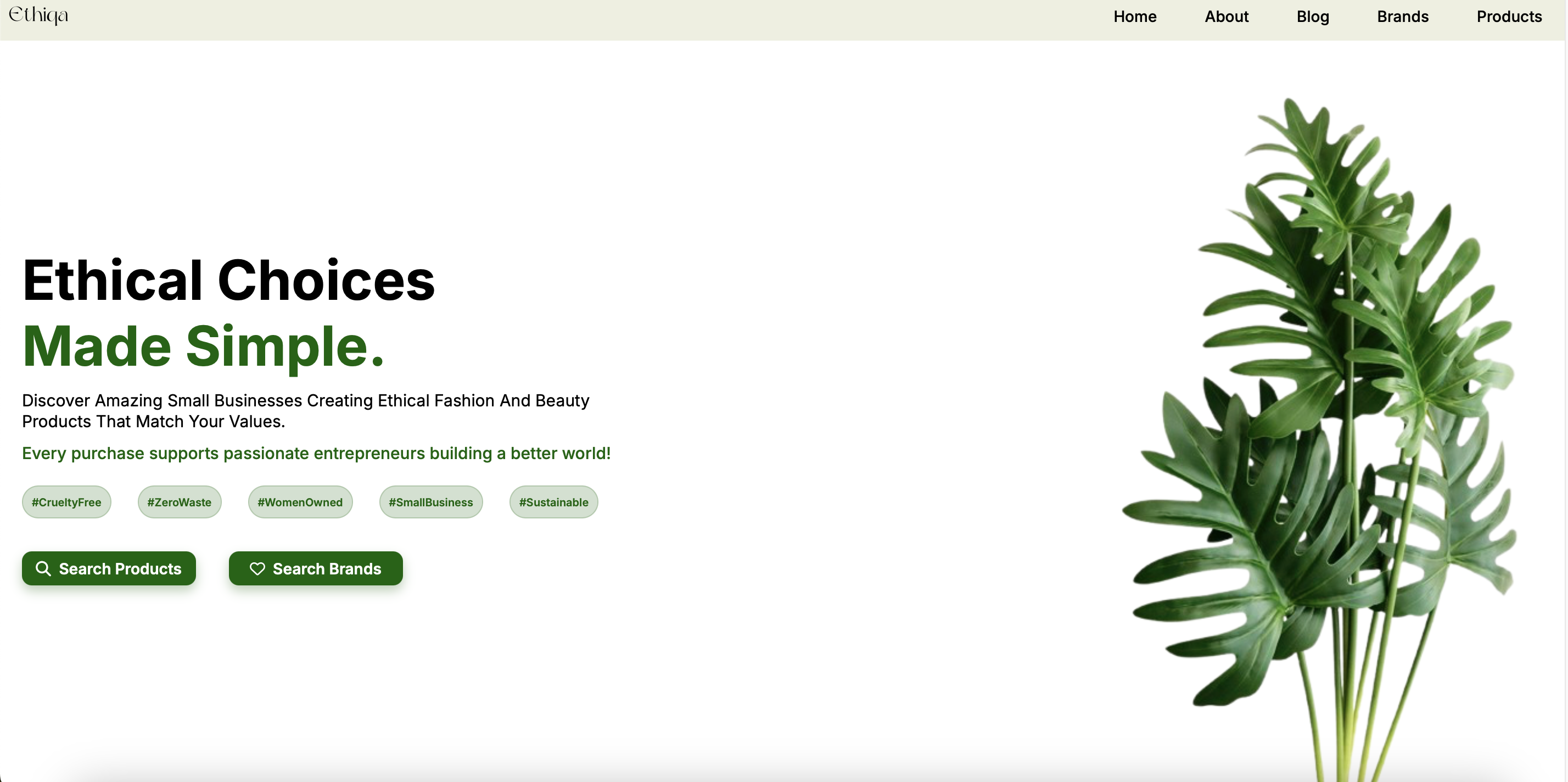 Ethiqa screenshot 1
