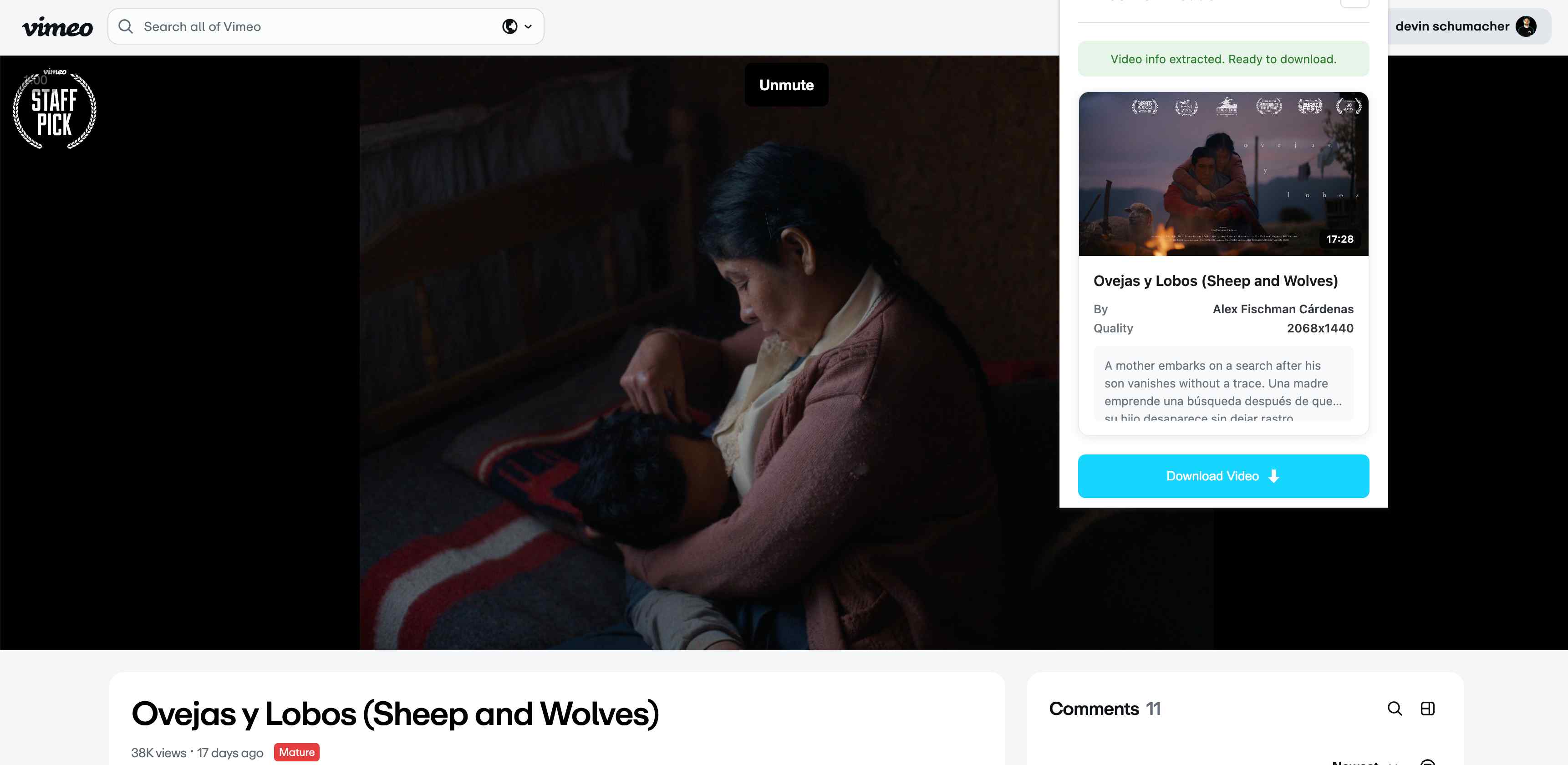 Vimeo Video Downloader screenshot 1