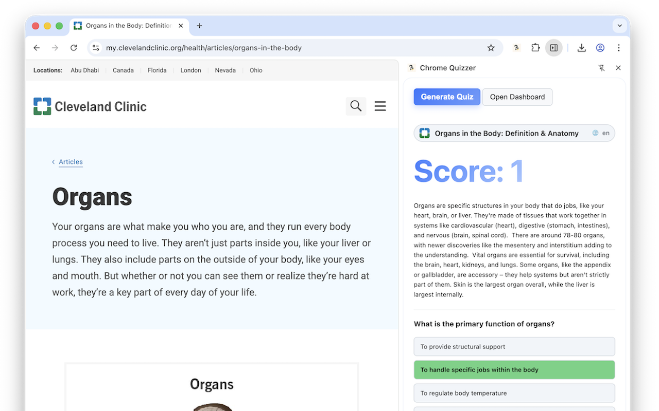Chrome Quizzer screenshot 2
